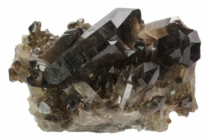 Dark Smoky Quartz Crystal Cluster - Brazil #124609